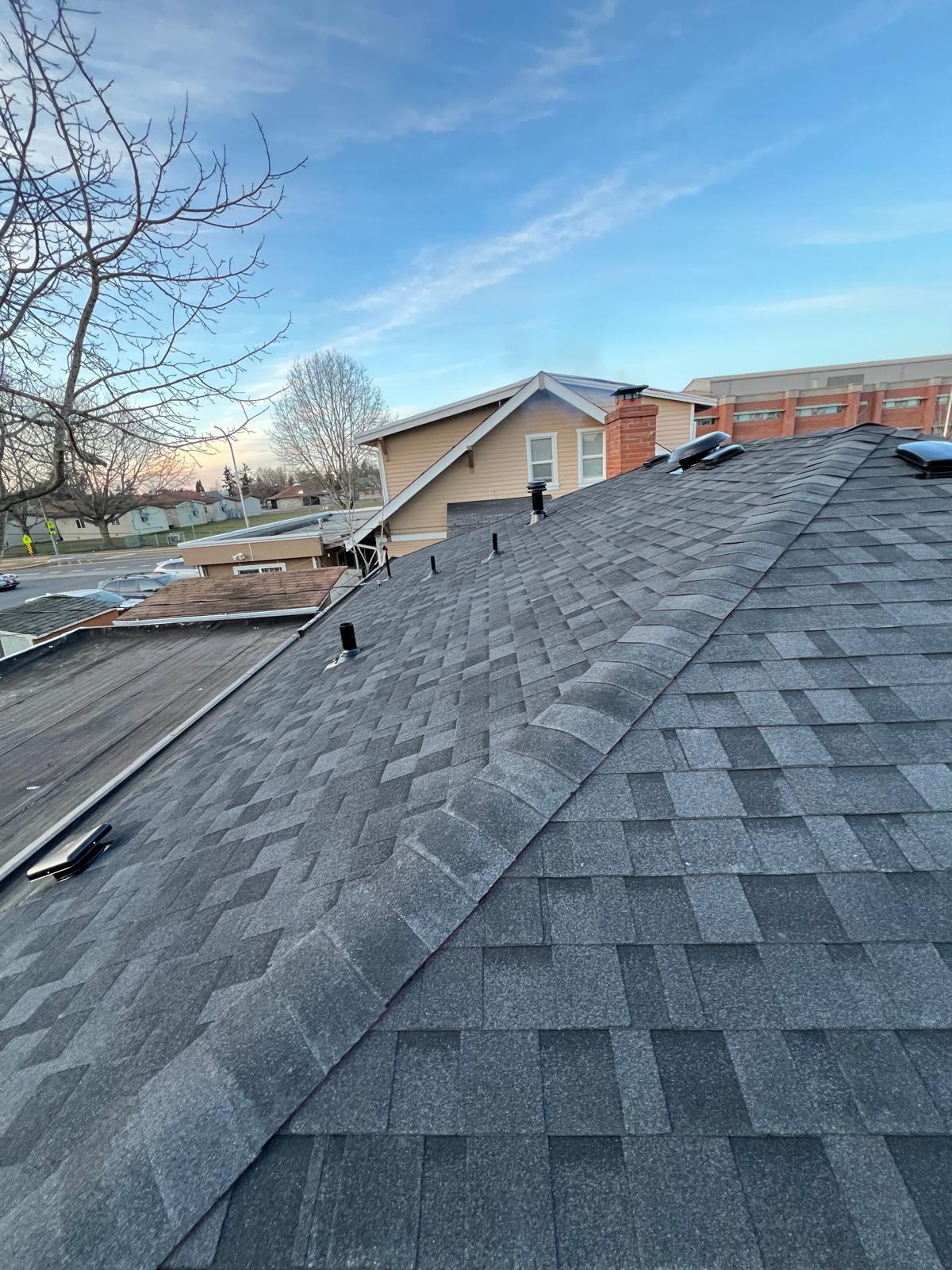 Fix After Shingles