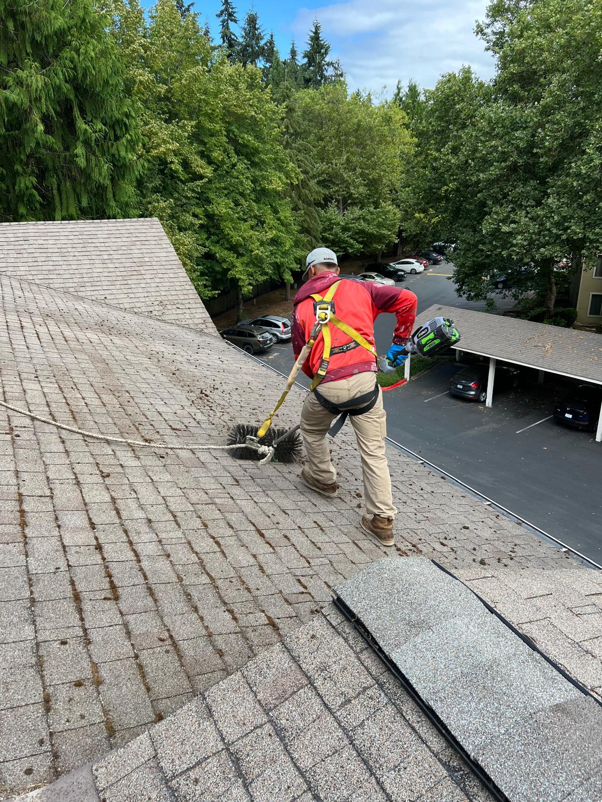 Emergency Roof Repair