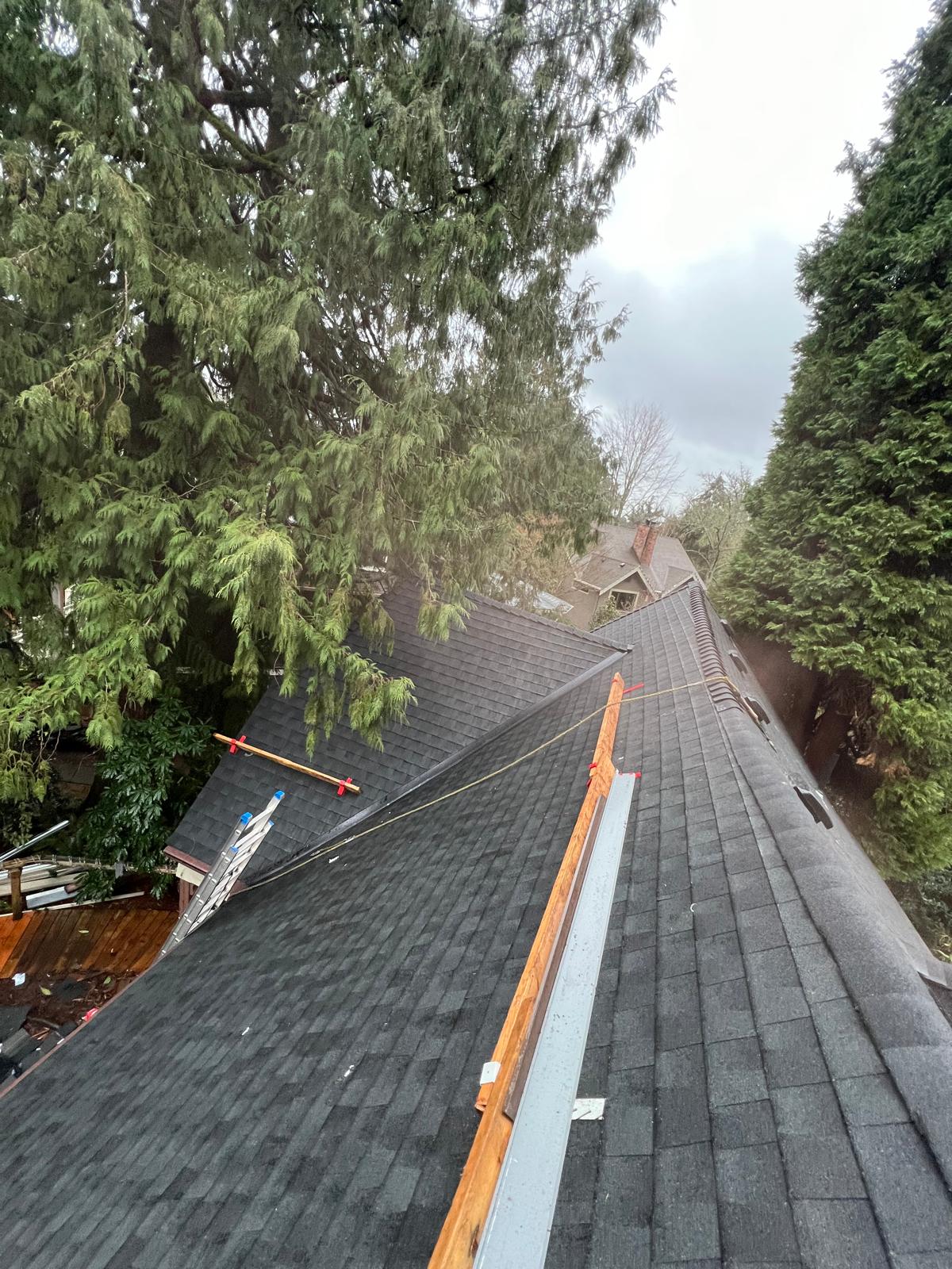 Snapshot 1: Roof Installation