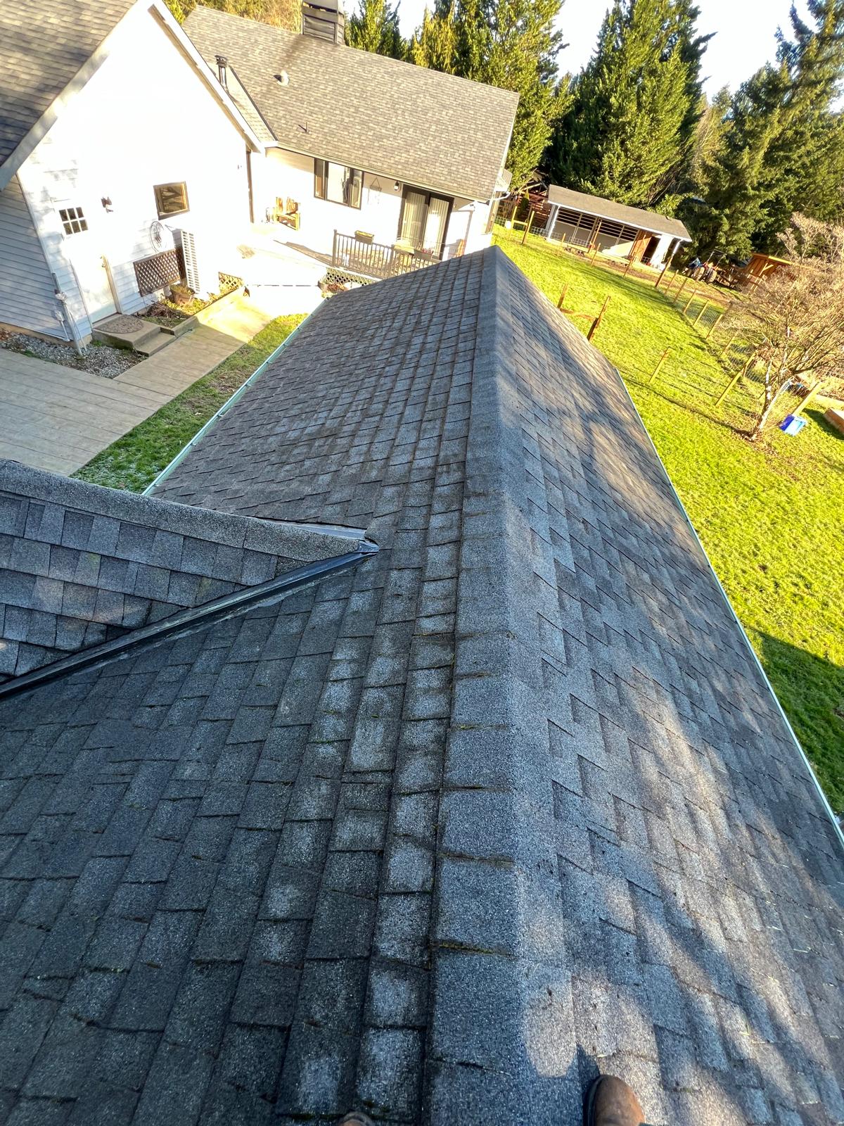 Snapshot 4: Moss Repair