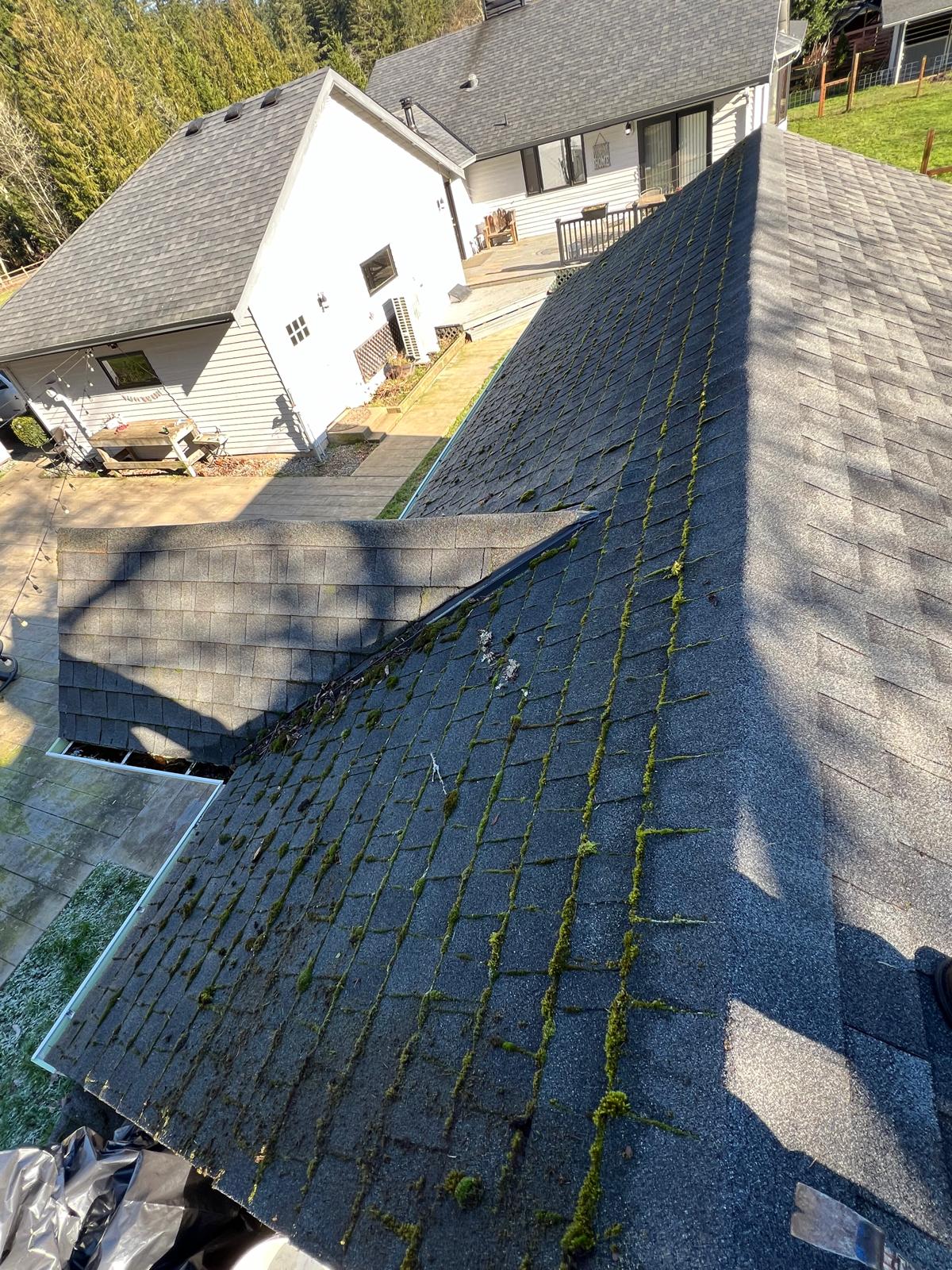 Roof Cleaning Service