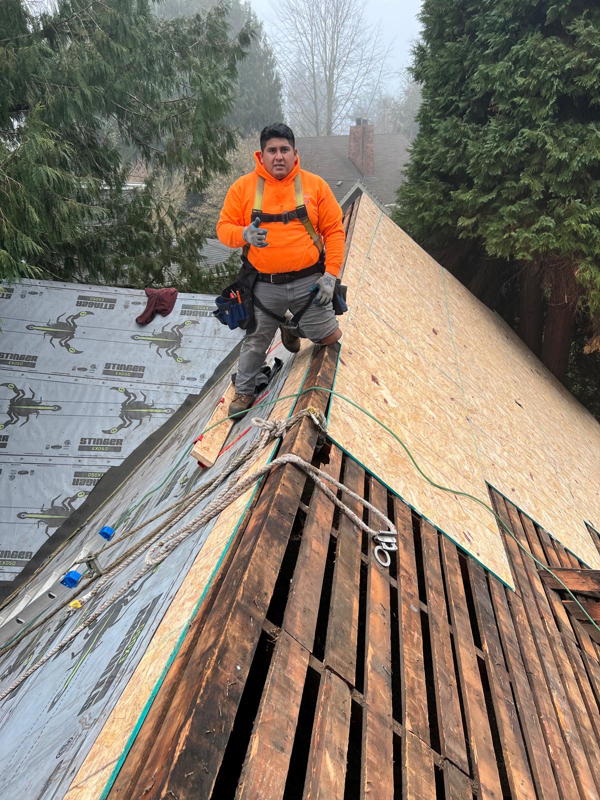 Snapshot 2: Emergency Roof Repair